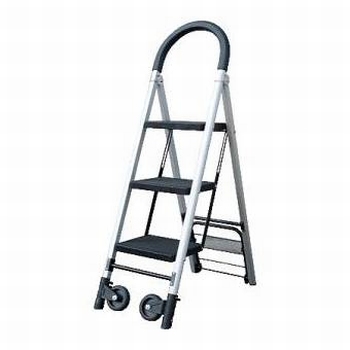 Inklapbare Steekwagen & Ladder combinatie