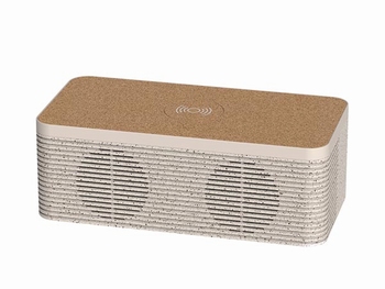 SPEAKER MET DRAADLOZE OPLADER