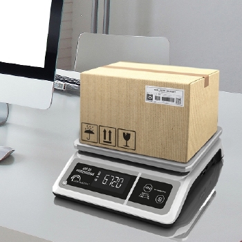 Little Balance pakketweegschaal LBP 50 Professional 50kg