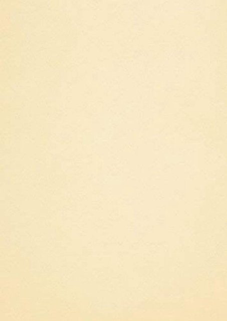Conqueror Contour papier A4 100grams Chamois 500v. Watermerk