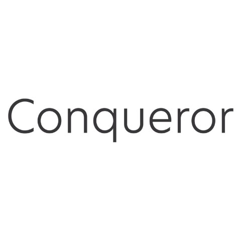 Conqueror papier A4 100 grams Gebroken Wit met Watermerk