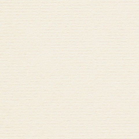 Conqueror papier A4 100 grams Ivoorwit met Watermerk