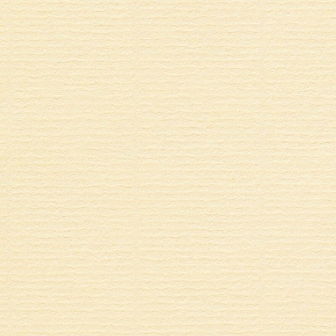 Conqueror papier A4 100 grams Roomkleur met Watermerk
