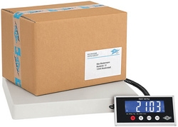 Wedo Electronische pakketweger 100 PLUS tot 100KG.