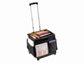 Vouwkrattrolley Multiworker XL